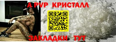 спиды Донской