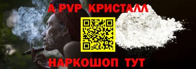спиды Донской