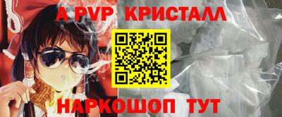 спиды Донской