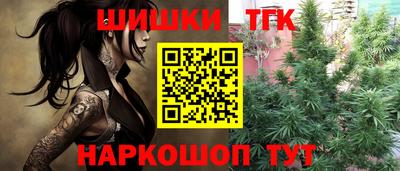 спиды Донской